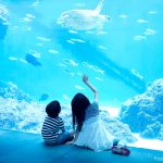 水族館の女の子と男の子