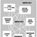 脳発達スペクトラムと発達障害の関係図