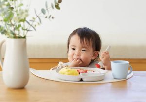 taneの食器シリーズ