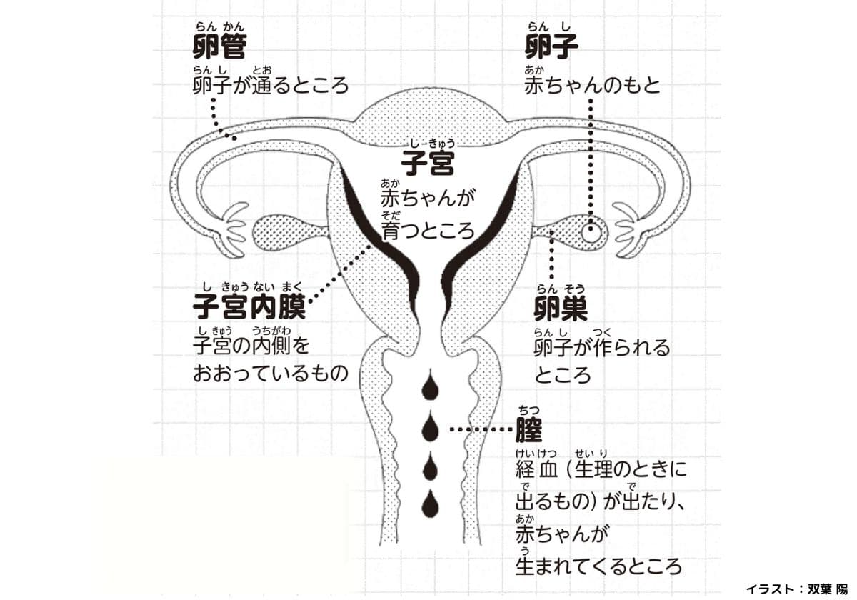 ⑤かわいいのルール：生理がきたらどうすればいい？の画像1