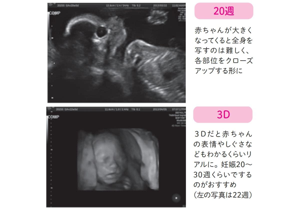 はじめてでもよくわかる 知っておきたい妊娠と出産安心BOOK