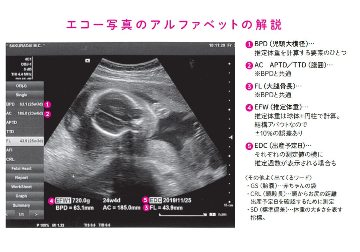 はじめてでもよくわかる 知っておきたい妊娠と出産安心BOOK