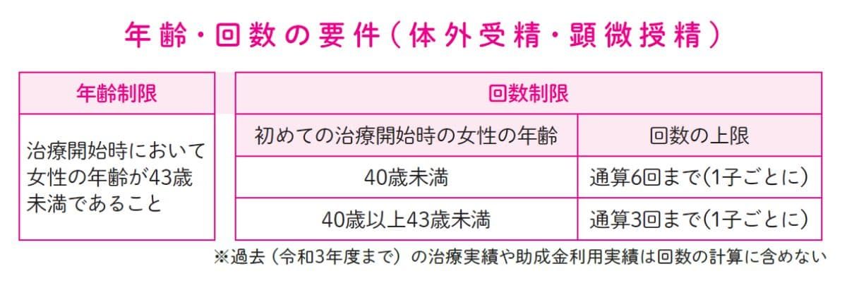 はじめてでもよくわかる 知っておきたい妊娠と出産安心BOOK