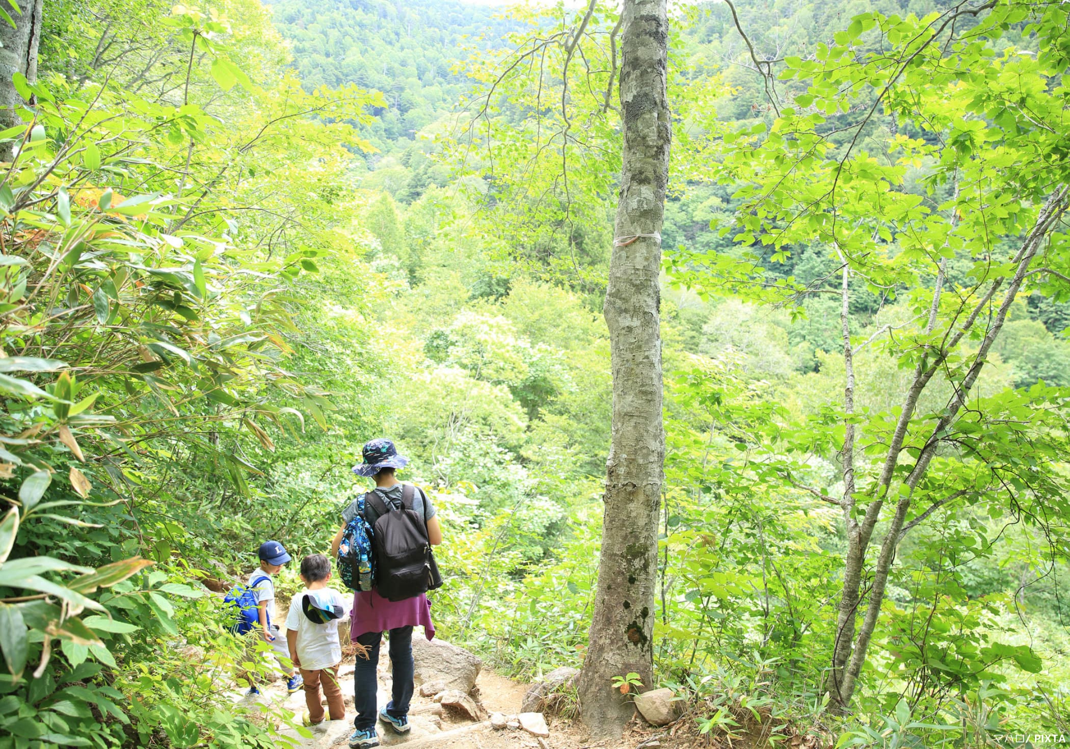 登山をする父と子ども