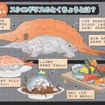 スシニギリス
