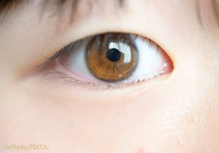 「不審者・知らない人」では見抜けない　子どもに教えたい“危険な人物“の見分け方