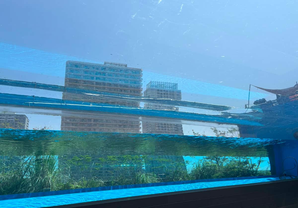 サンシャイン水族館　天空のペンギン水槽
