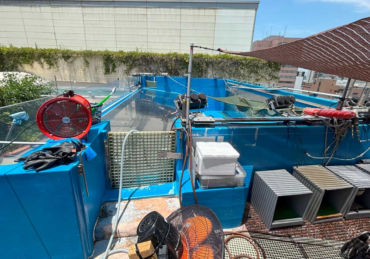 サンシャイン水族館　天空のペンギン水槽