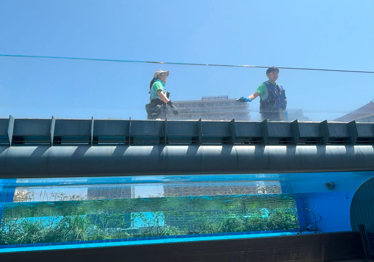 サンシャイン水族館　天空のペンギン水槽