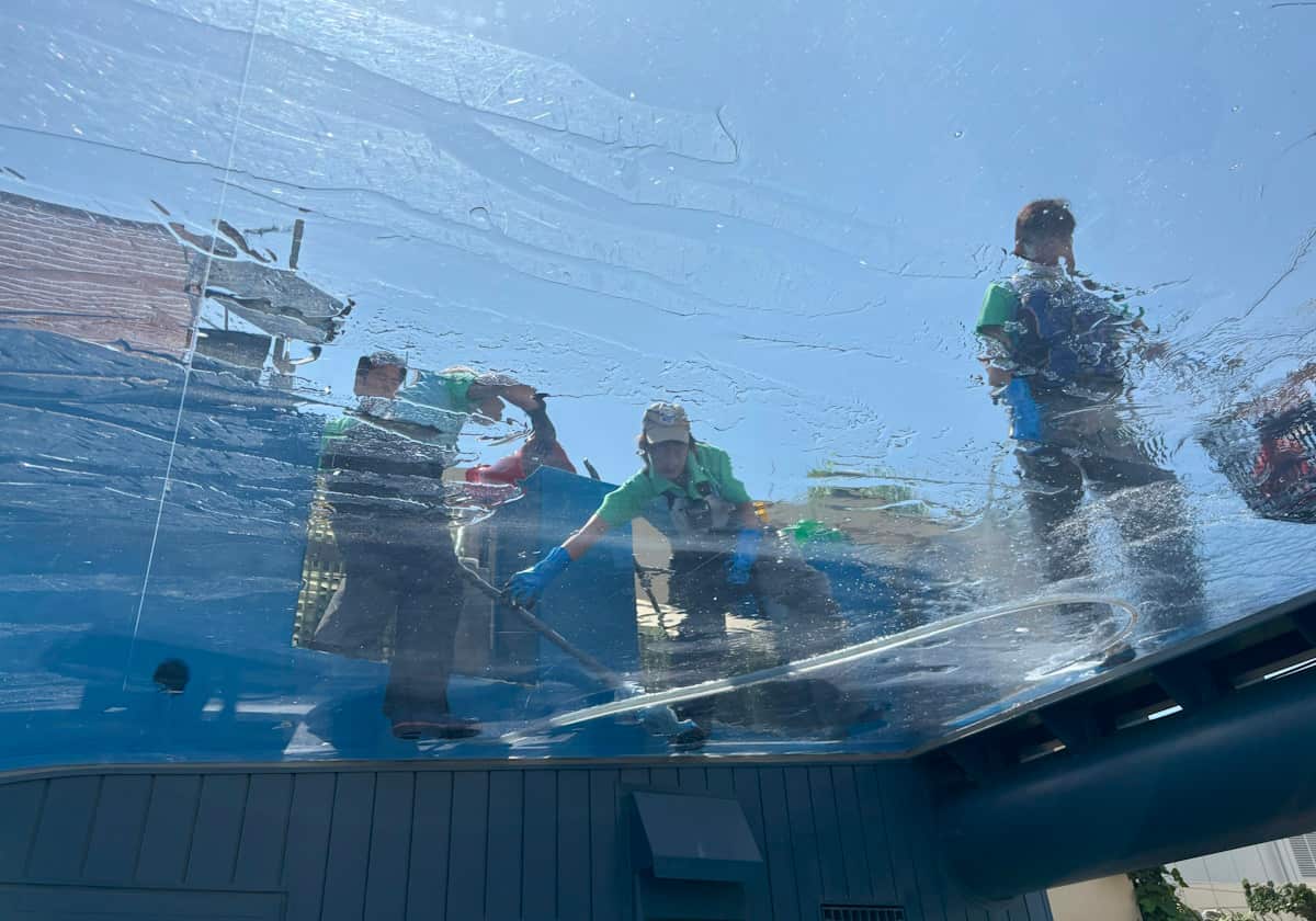 サンシャイン水族館　天空のペンギン水槽