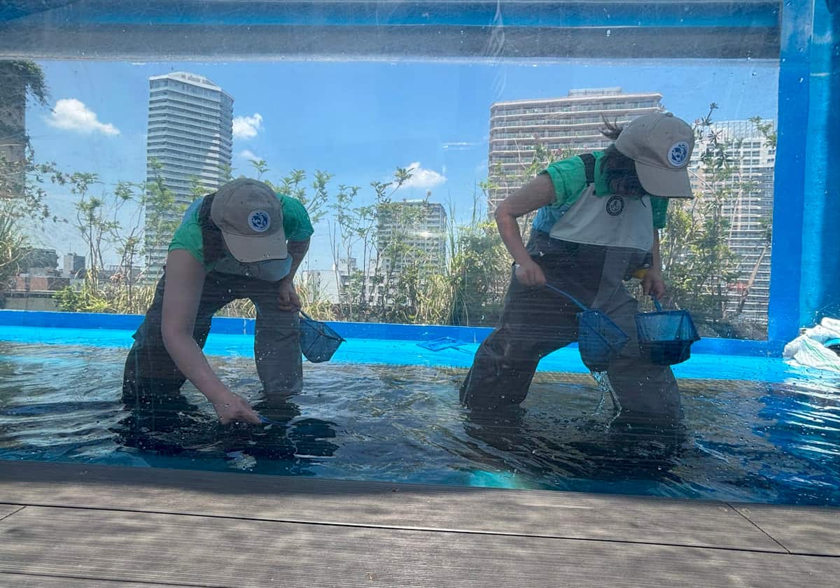 サンシャイン水族館　天空のペンギン水槽