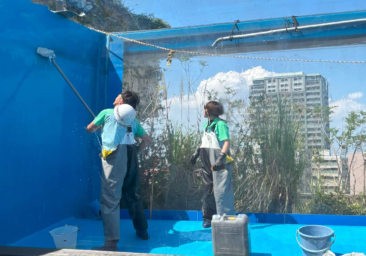 サンシャイン水族館　天空のペンギン水槽