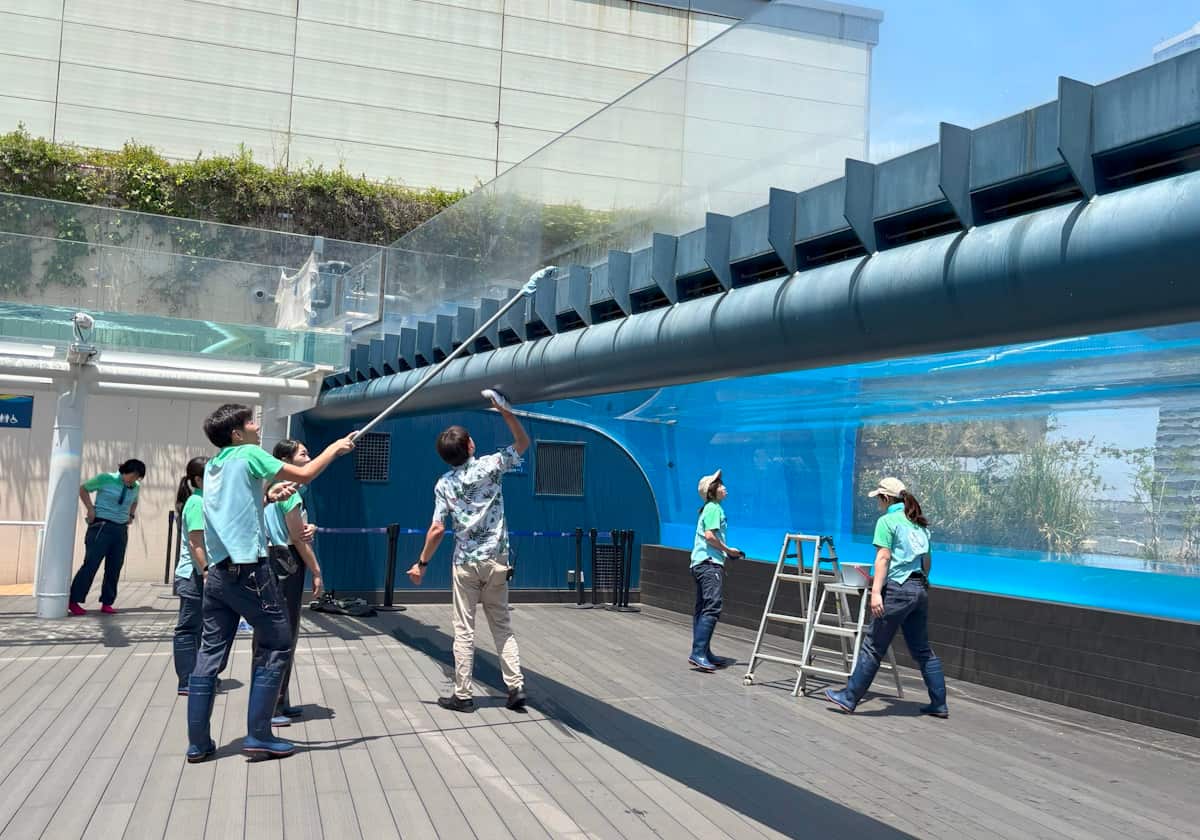 サンシャイン水族館　天空のペンギン水槽
