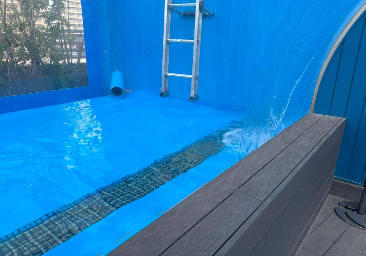 サンシャイン水族館　天空のペンギン水槽