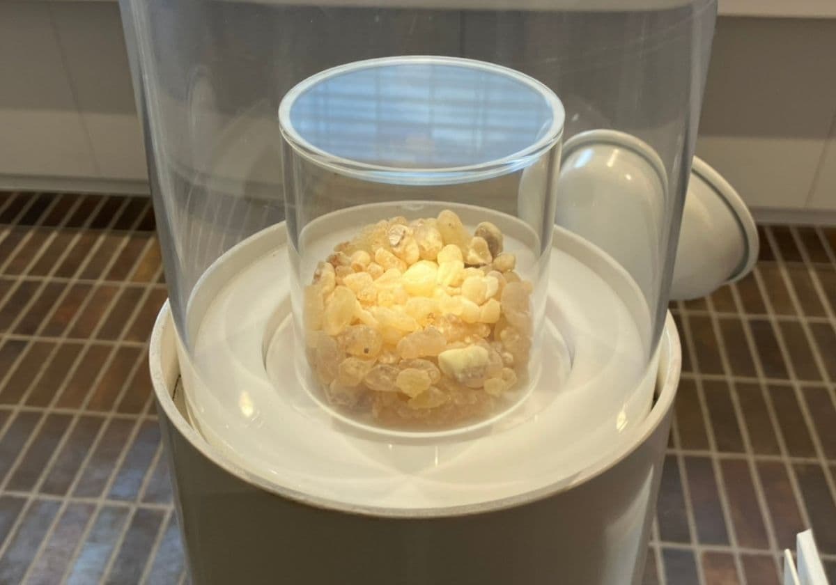 薫習館
