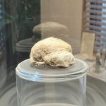 薫習館