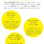 渋幕入試問題