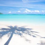 夏の海と空のイメージ