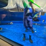 サンシャイン水族館　バイカルアザラシ