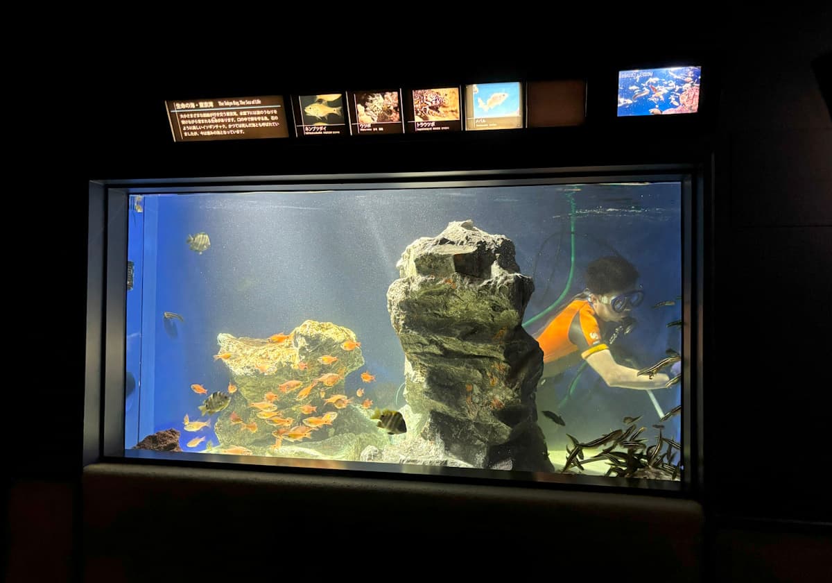 サンシャイン水族館　チョウチョウウオ