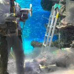 サンシャイン水族館　チョウチョウウオ