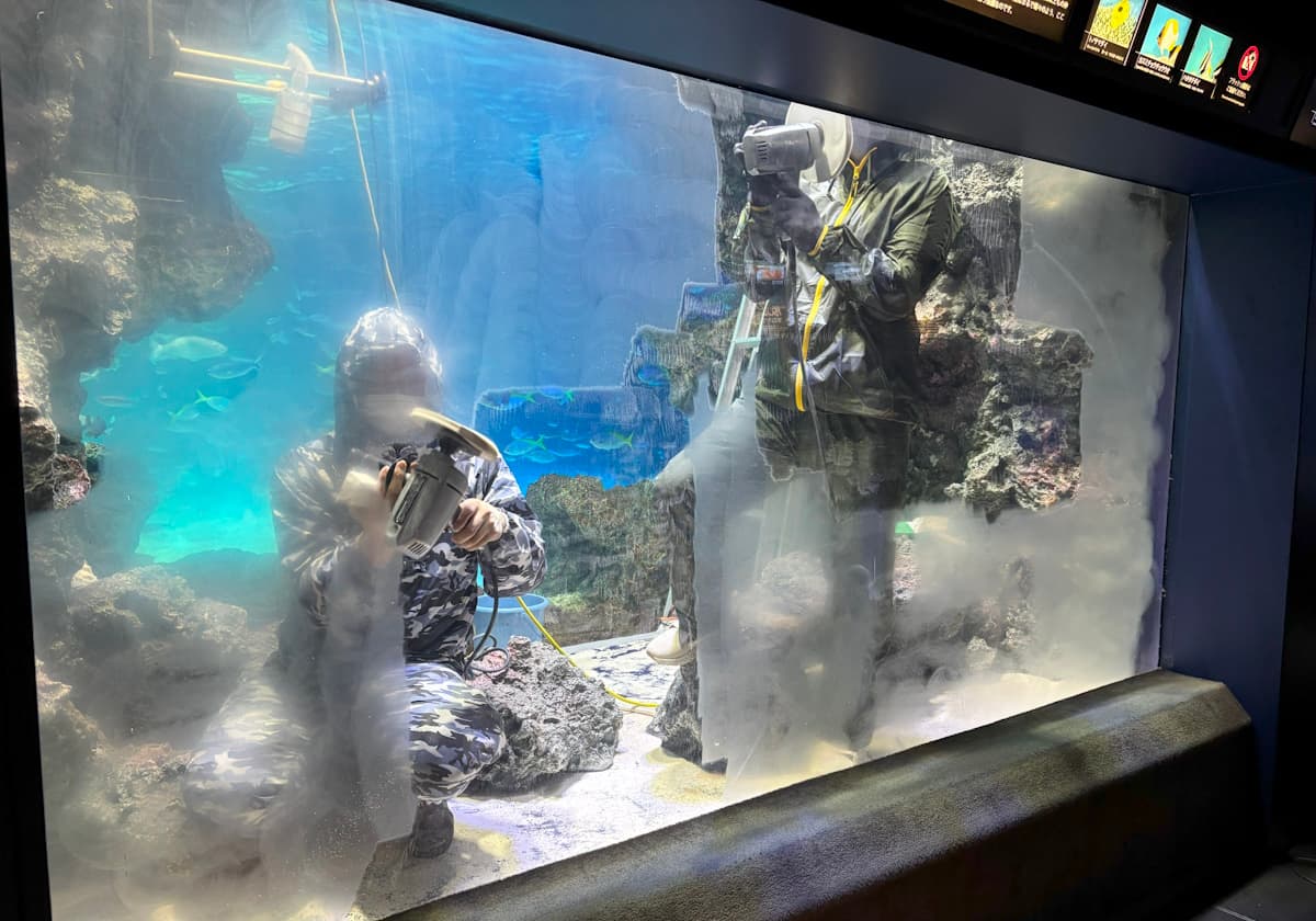 サンシャイン水族館　チョウチョウウオ