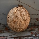 スズメバチの巣