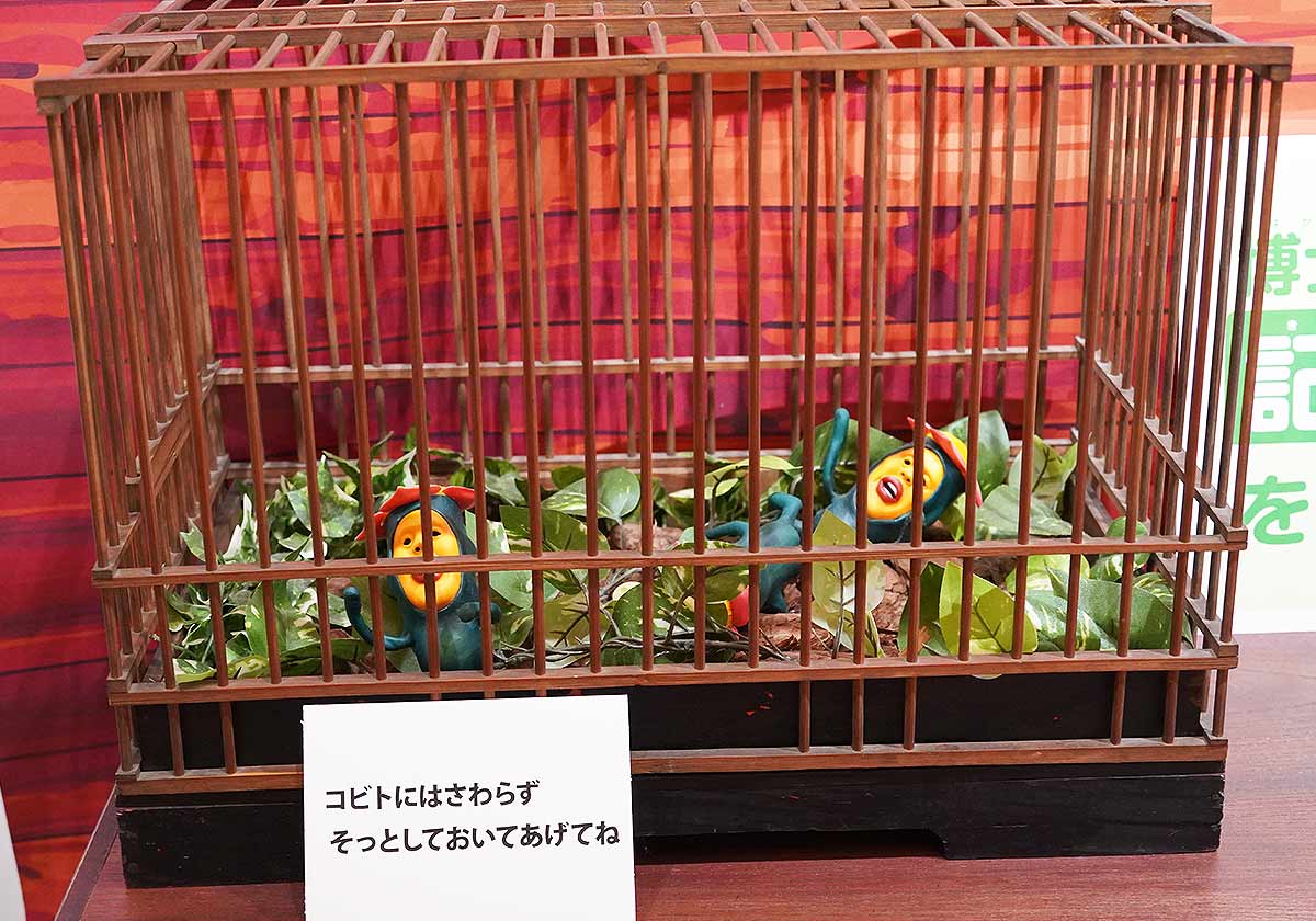 こびとづかん秋まつり～秋のこびと自由研究～