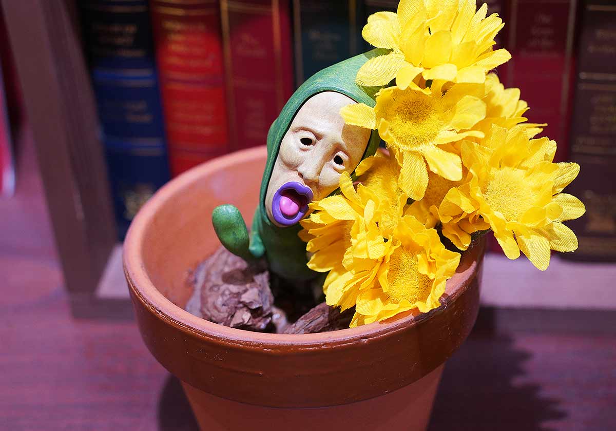 こびとづかん秋まつり～秋のこびと自由研究～