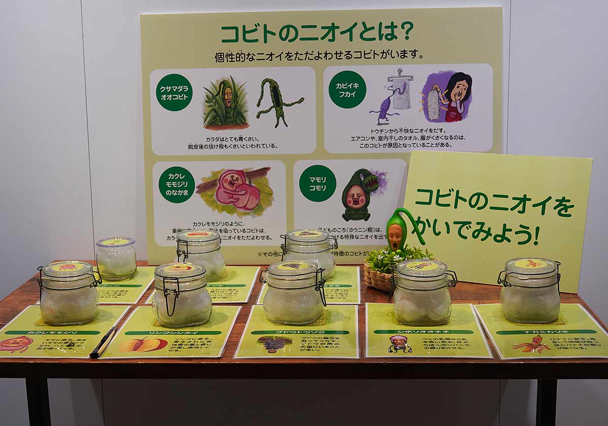 こびとづかん秋まつり～秋のこびと自由研究～