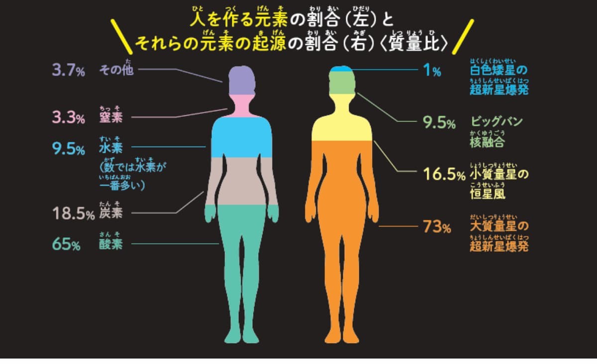 私たちは星と同じ成分でできている?の画像2